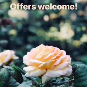 🐰 OFFERS WELCOME! 🐰